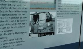 InfoTafelnimHamburgerKiekut